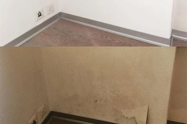 Wir bieten auch professionelle Schimmelbeseitigung an.