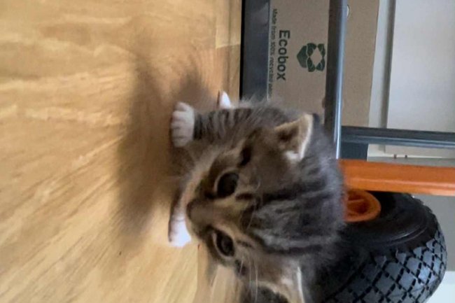 TryggFlytt Skåne AB-2