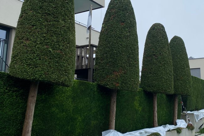 Gancear GartenSpezialist-2