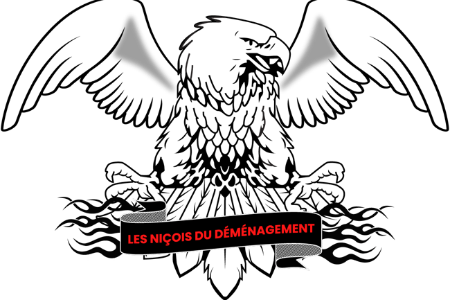 Les Niçois Du Déménagement-10