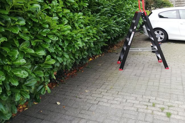 Voor het knippen