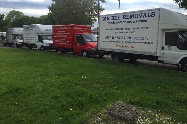 Mr Bee Removals-2
