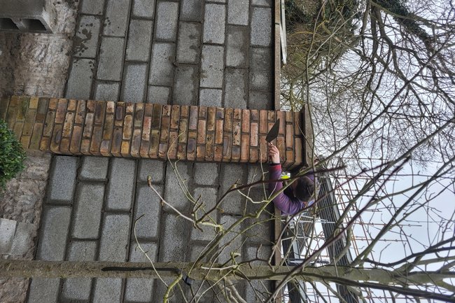Brick Piers and boundary wall