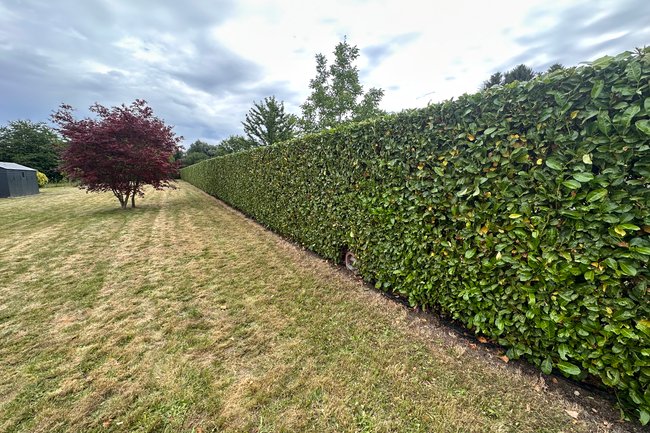 Les jardins Moreau-15