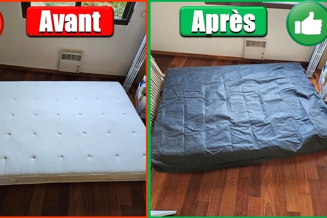 Baie Des Anges Transport-1