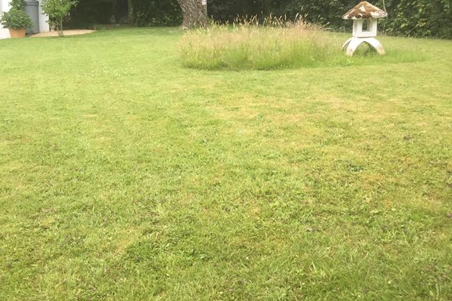 Entretien de la pelouse