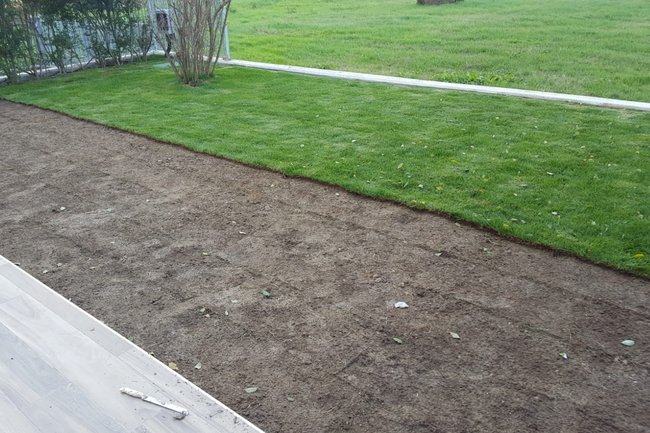 Posa del prato a rotoli