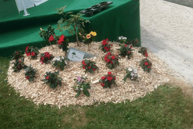 Décoration VIP pour événement