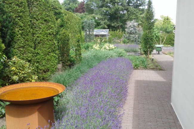 Robert Pul Tuinen-10