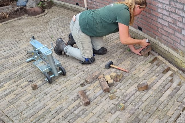 Timberman Boom en Landschap-2