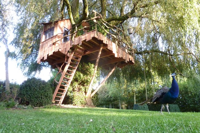 Boomhutten ontwerp ik ook