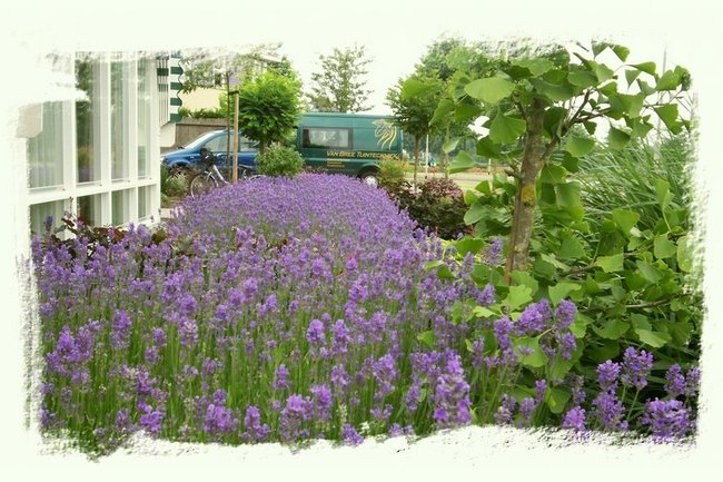 De Provence bij de voordeur.