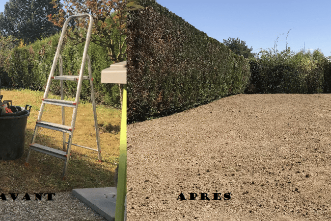 Remise en état JARDIN ( Gland, VD )