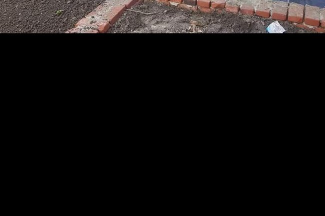 A.M.S. Sloos Tuinen-4