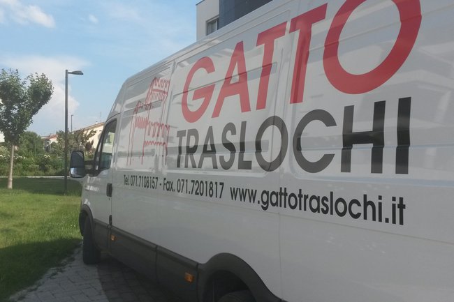 Gatto Traslochi-2
