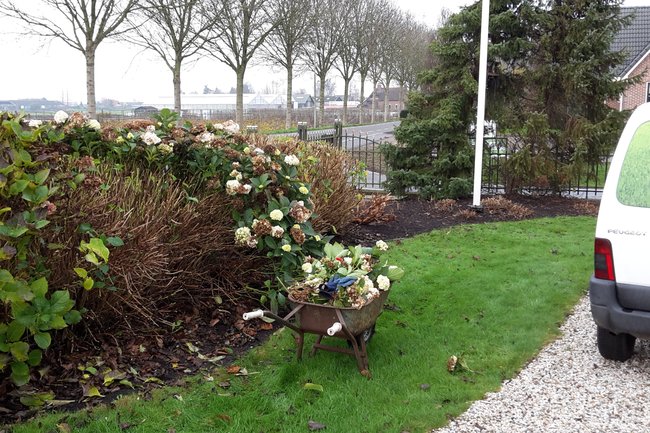 Tuinonderhoud in uitvoering.