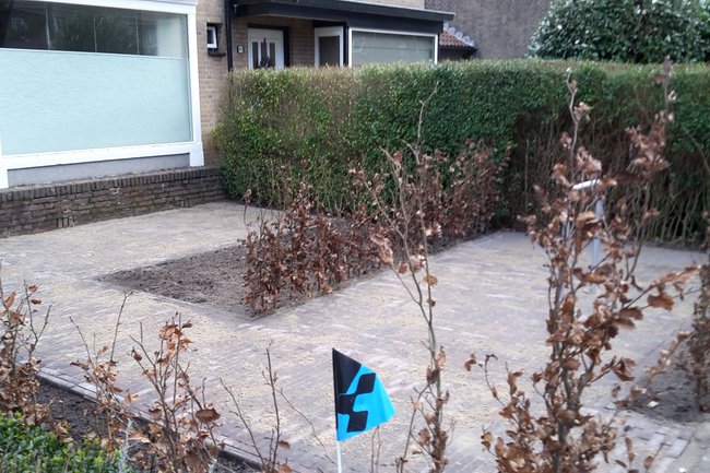 Hoe de tuin Is geworden na de renovatie.