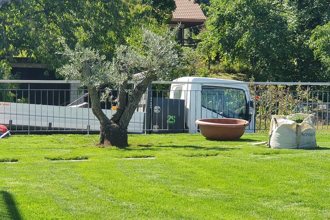 2S Gartenbau GmbH-6