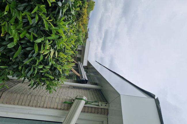 O. El Schilderbedrijf-15