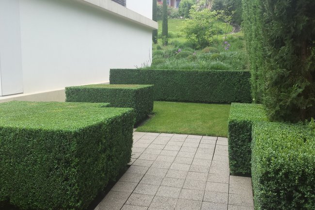 CR Jardinier-4