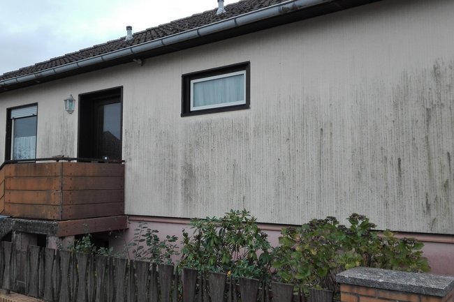 Malerwerkstatt Bergmann-8