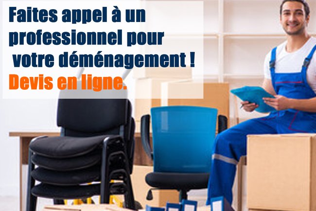 Faites appel à un professionnel pour votre déménagement.