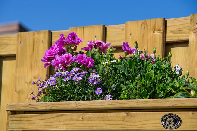 Oog voor detail: houten bloembak
