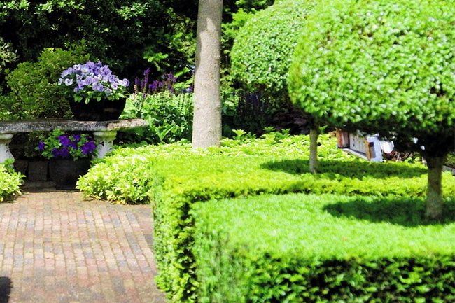 Roozen Landscaping-1