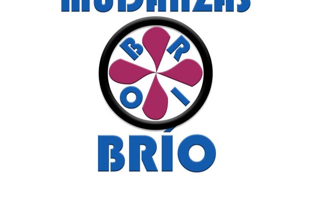 Mudanzas Brío
