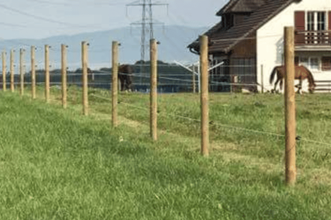 Clôture pour chevaux