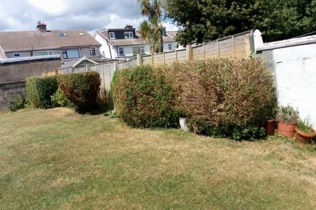 Davis & Sons Gardening & Landscaping Services-12