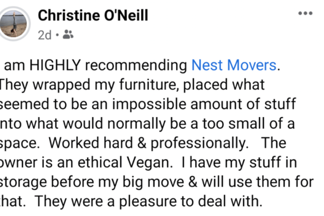 Nest Movers-14