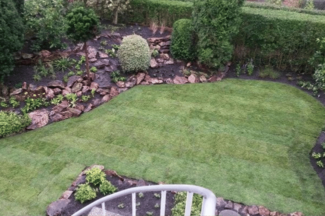 Ruuds Tuinen Boomverzorgers & Hoveniers-3