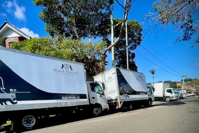 Black Stallion Removalist-2