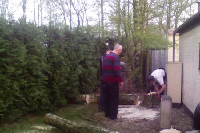 Verwijderen van twee bomen.