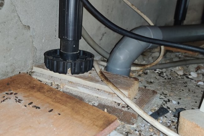 Flinke muizen overlast onder de keuken