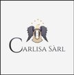 Carlisa Multiservices sarl-logo
