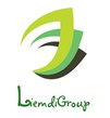 Liemdi-group-logo