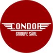 Condor Groupe Sàrl-logo
