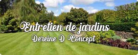 DEREINE D. CONCEPT-logo