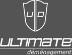 Ultidem-logo