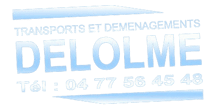 Déménagements Delolme-logo