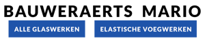 Bauweraerts Mario-logo