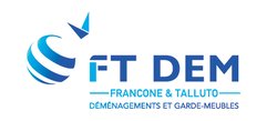 FT Dem-logo