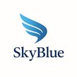 SKYBLUE transports sarl-logo
