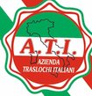 ATI Service srl-logo