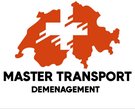 MASTER TRANSPORT DEMENAGEMENT-logo