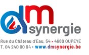 DM Synergie-logo