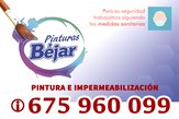 Pinturas y Reformas Béjar-logo