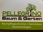 Pellegrino Garten und Baumpflege-logo